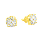 Glisten Earrings